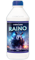 Raino
